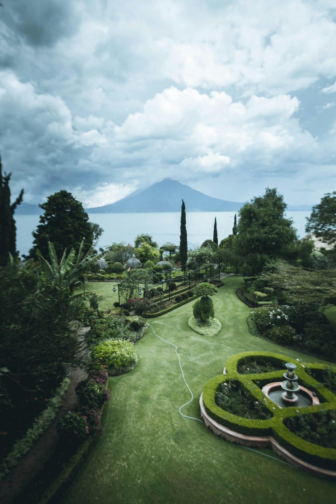 Imagen de plantas y flores